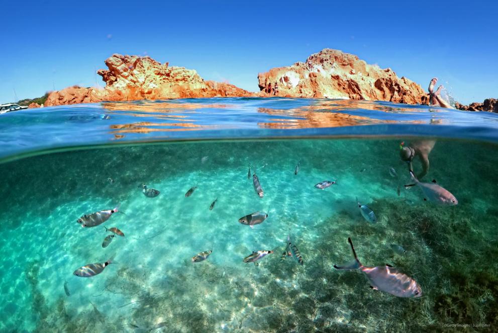 A young man dives into the water enjoying the seabed